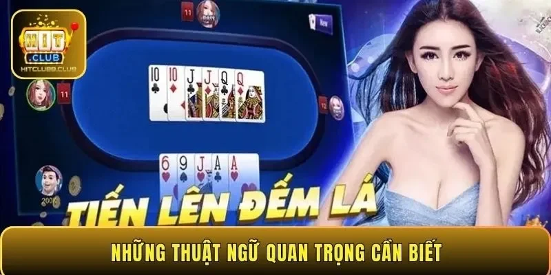 Những thuật ngữ quan trọng cần biết